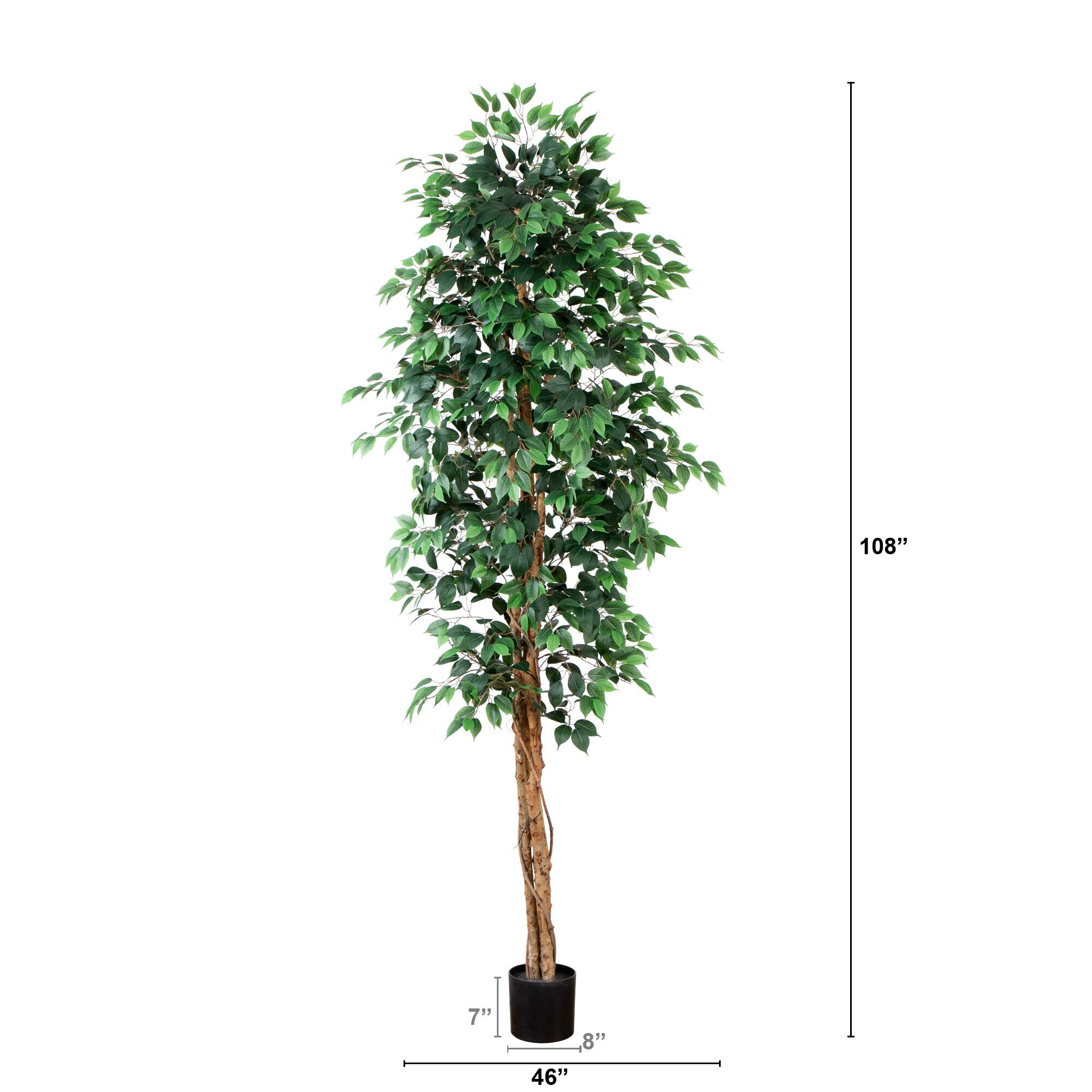 9ft. Potted Ficus Tree